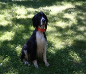 July4th2011 267